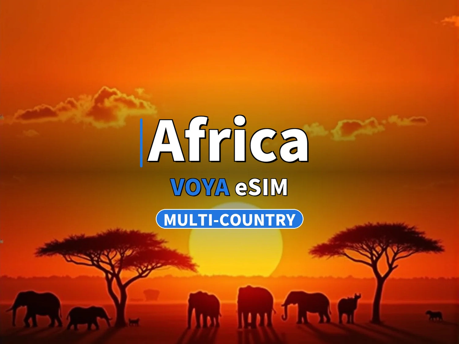 Africa Multi-Country