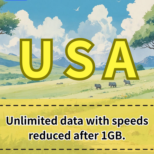 J廠 USA MAX Daily 5GB Daily High Speed|1GB cap, then throttled - 1 Day