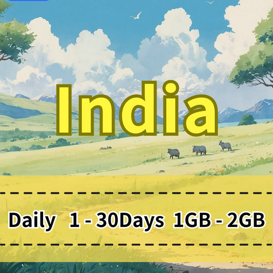 Voya India Daily eSIM Bharti Airtel Telecom - 1 Day 1GB